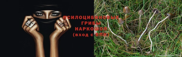 jwh Нея
