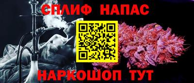 индика Будённовск