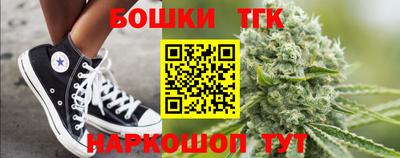индика Будённовск