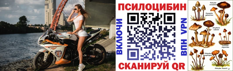 Псилоцибиновые грибы мухоморы  купить наркоту  Димитровград 