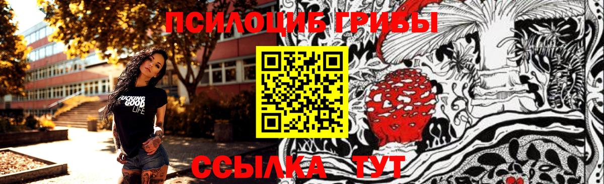 Псилоцибиновые грибы ЛСД Димитровград