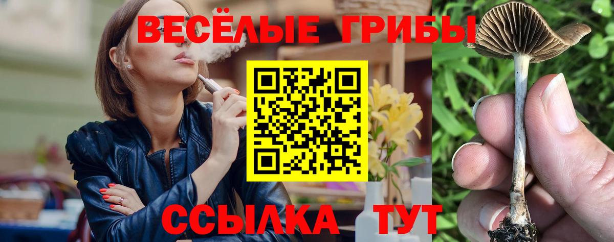 Димитровград  Галлюциногенные грибы MAGIC MUSHROOMS  Вход с VPN 