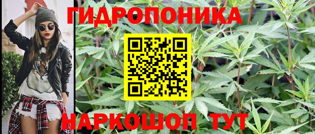 Бошки марихуана планчик Димитровград